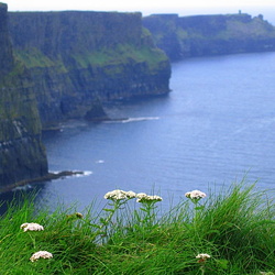 40 - The Cliffs of Moher and The Burren