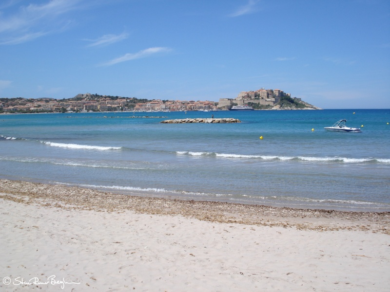 Calvi and the citadel seen from up the beach