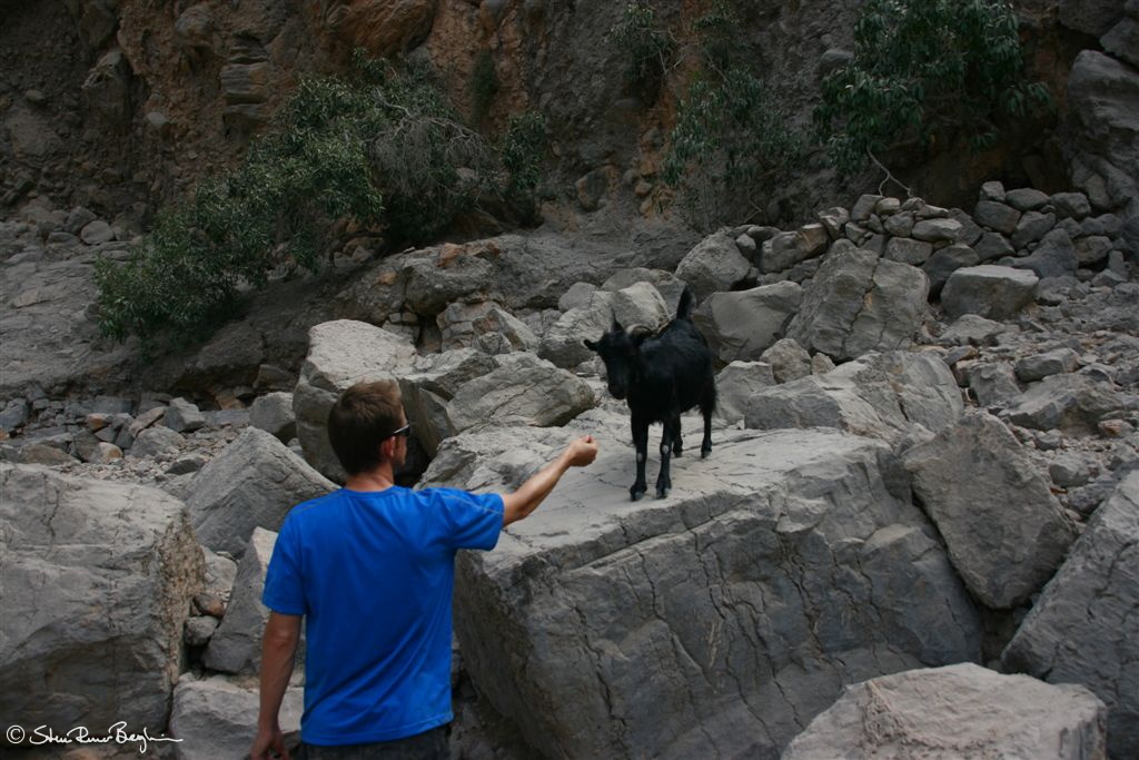 Chad Jerry feeding Belsebub the goat