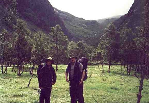 aaa