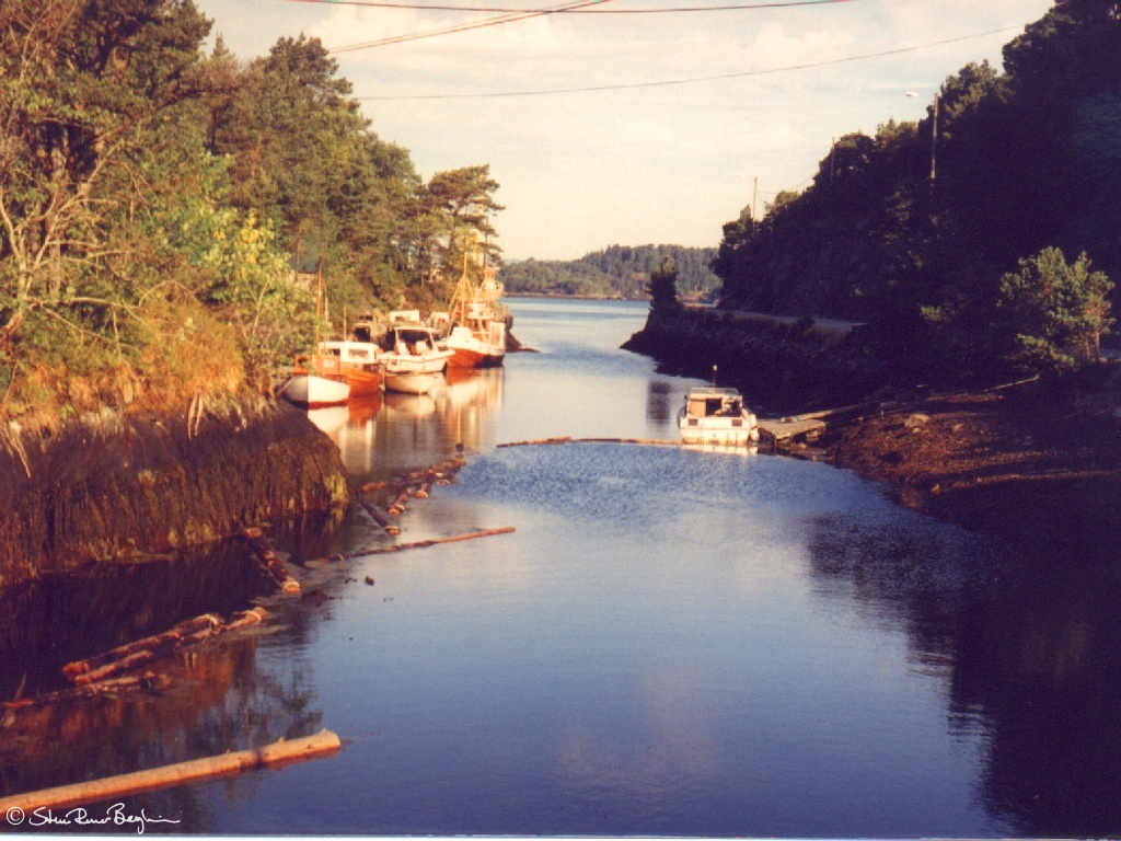 aab