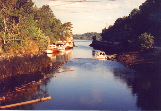 aab