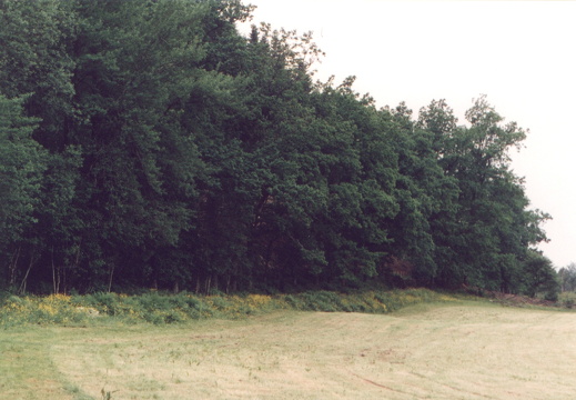 abl