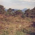 abp