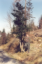 abz