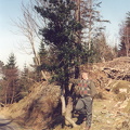 abz