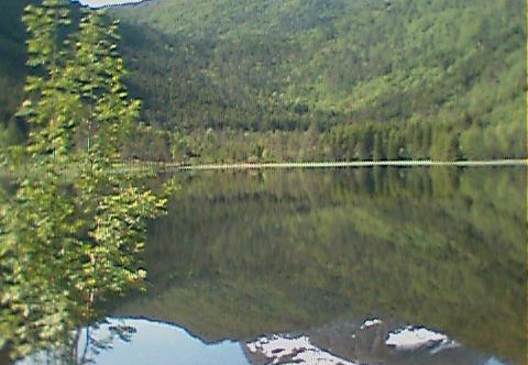 aaa