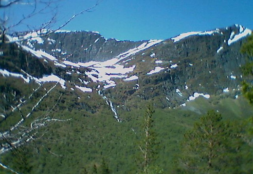 aan