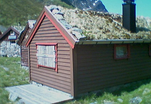 aav