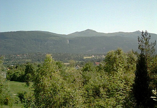 aai