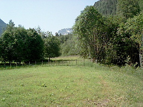 aaa