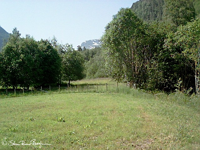 aaa