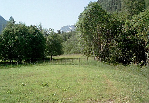 aaa