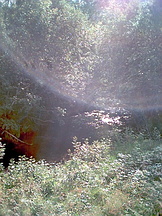 aba