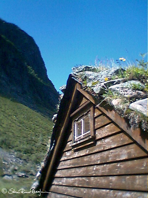 aba