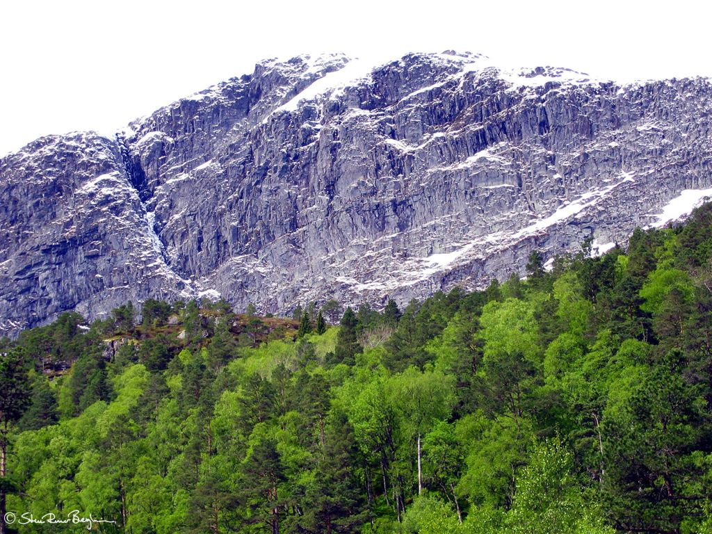 Winter giving in to spring