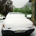 aap
