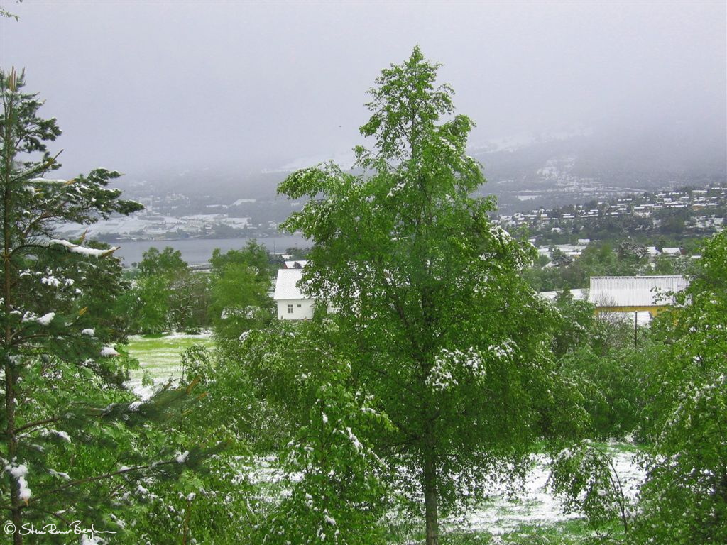 aas