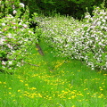 IMG_8888_copy