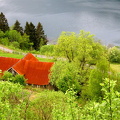 IMG_8894_copy