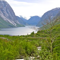 IMG_8905_copy