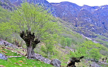 IMG_8913_copy