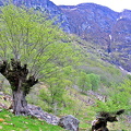 IMG_8913_copy