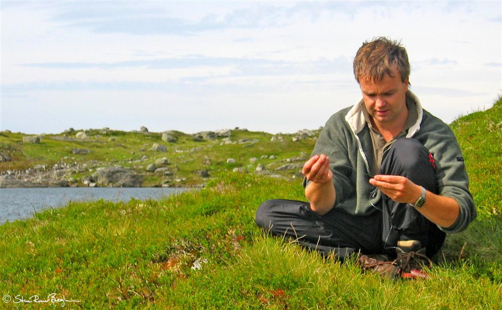 Førebuing II