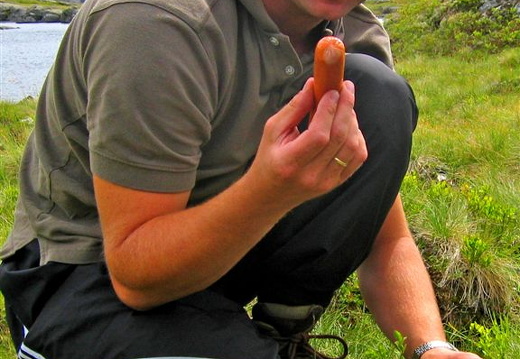 Ein pølsesnabb
