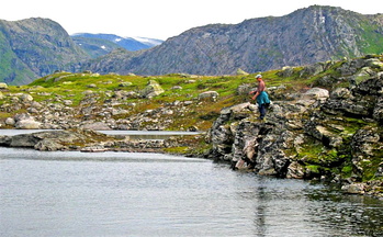 Flugefiske II