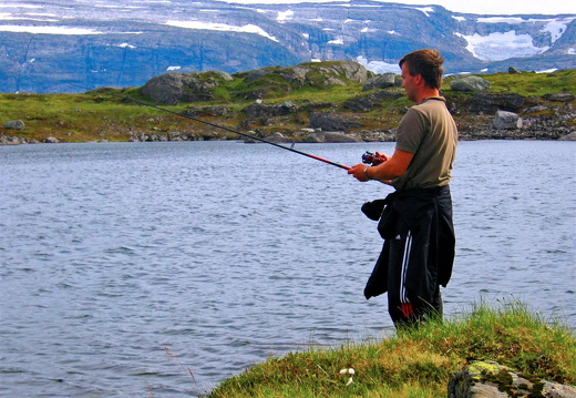 Spinnarfiske II