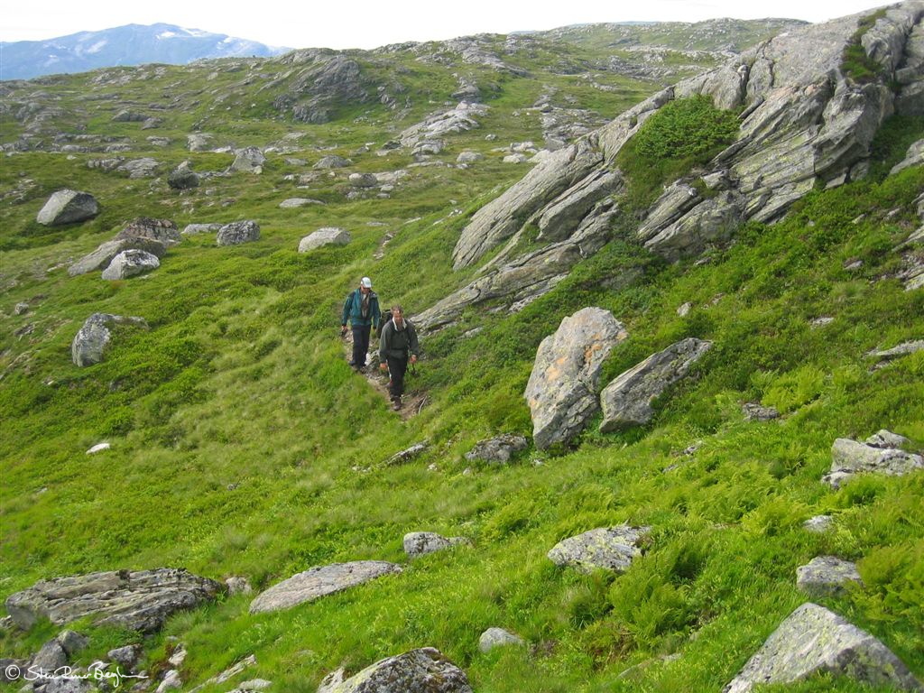 Vandring II