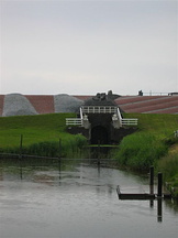 160_6004