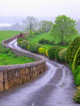 156_5690_copy