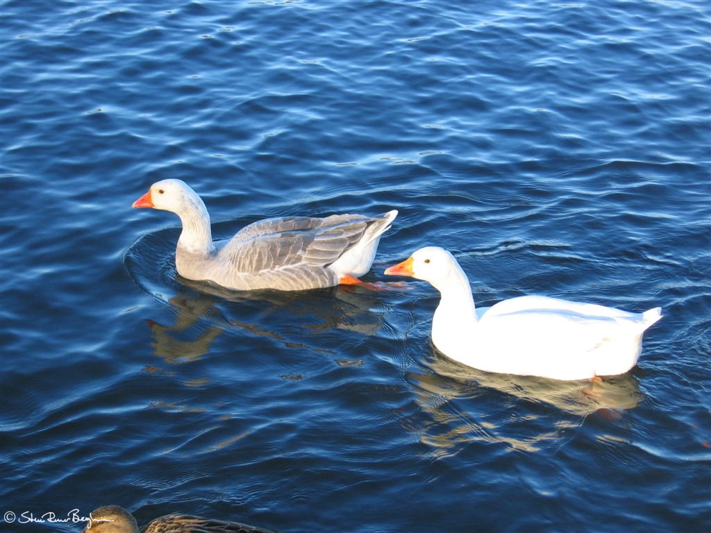 150_5024