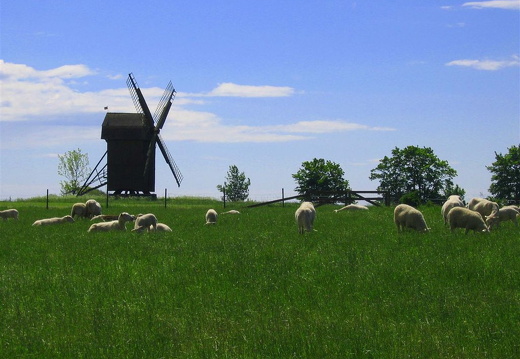 aaa