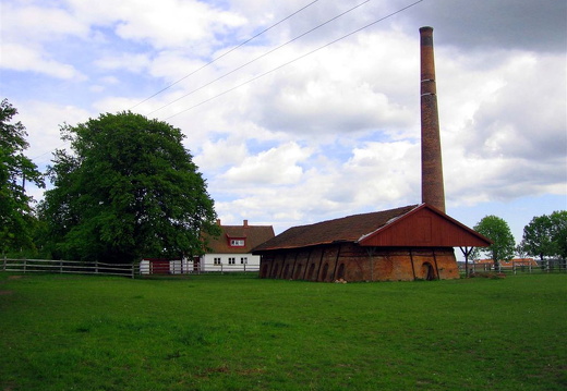 aau