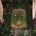 acc