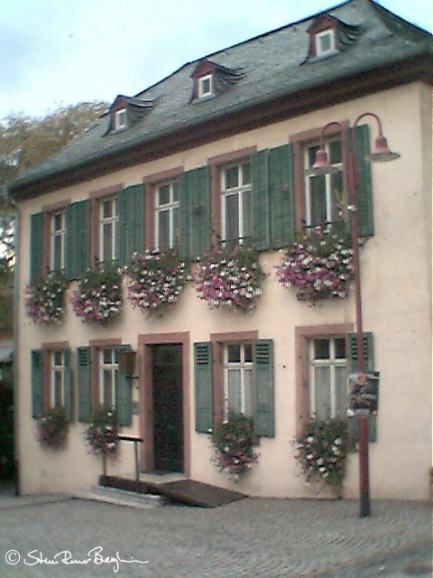 adp
