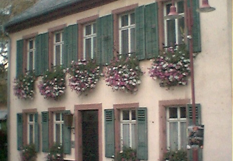 adp