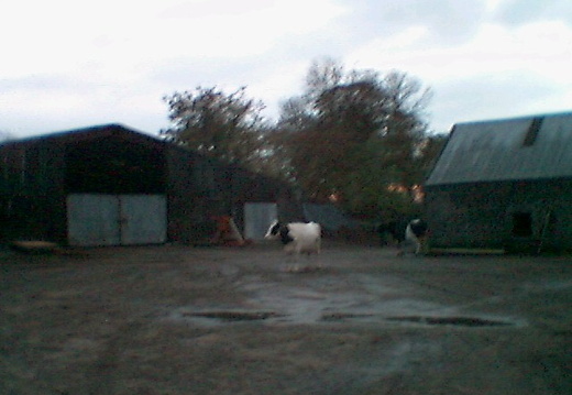 adq