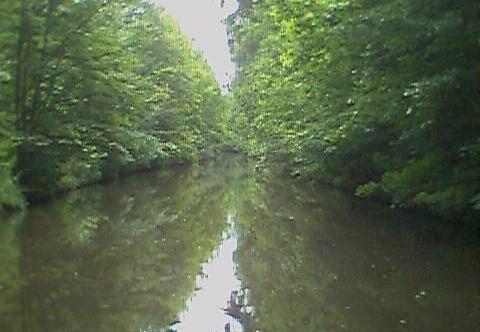 aaa
