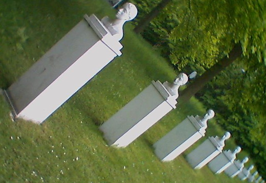 aae