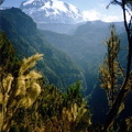 abl