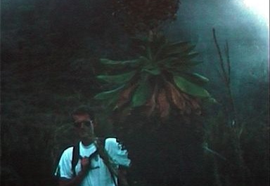 acp