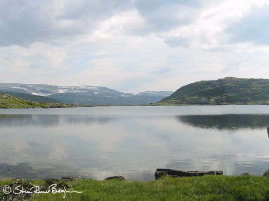 Panorama over Jørångevatnet