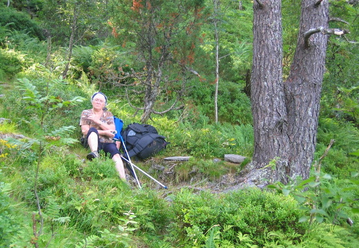 Skardhola