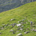 I Ångsdalen