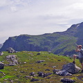 Sauepatruljør i Ångsdalen