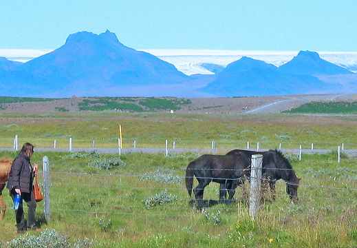 Horses and nasty mass-tourist near Gullfoss